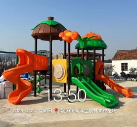 南京高淳金鵬林果種植場游樂項目