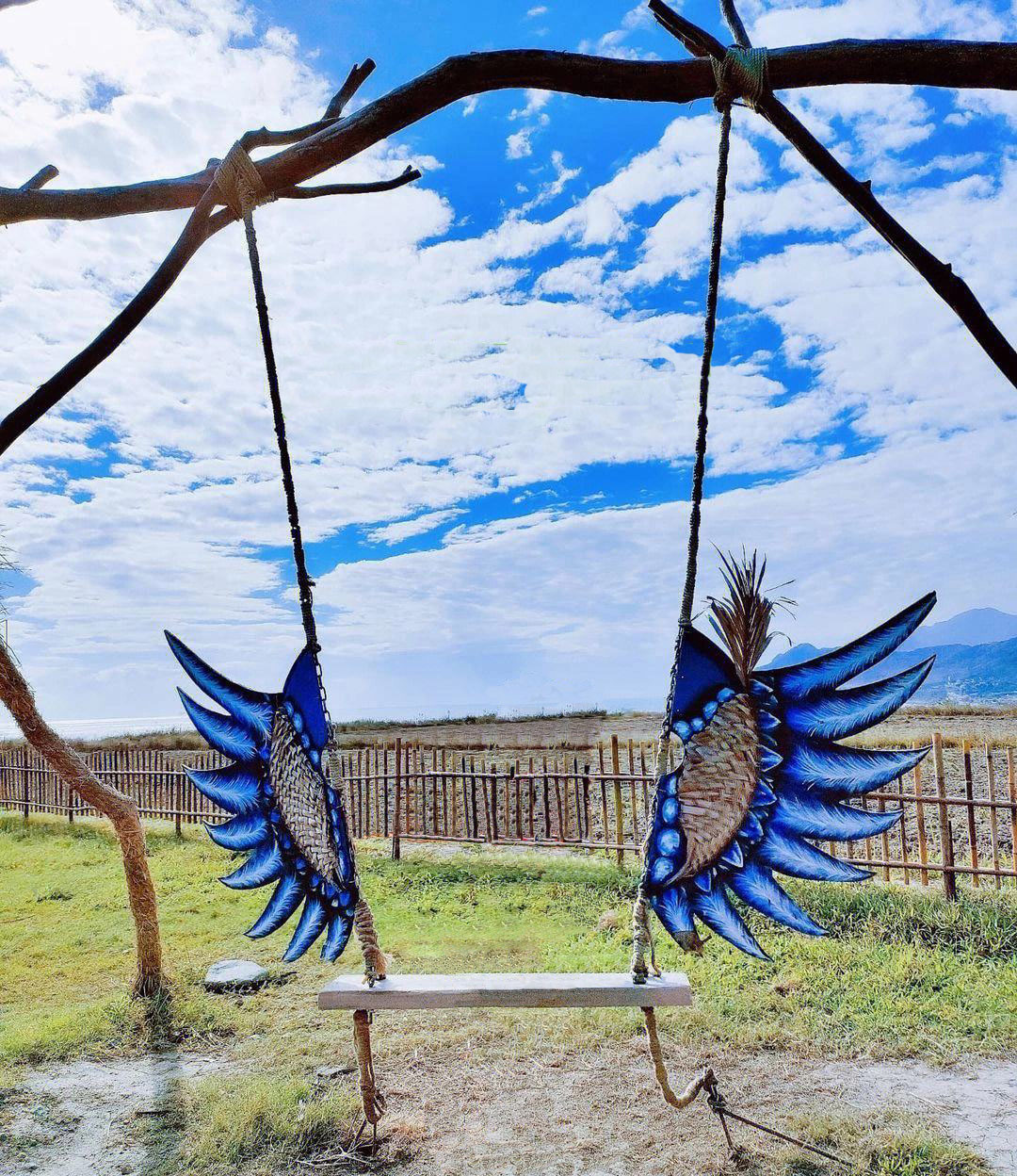 網紅秋千設備 網紅秋千設備